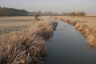 Landscape image of grassland