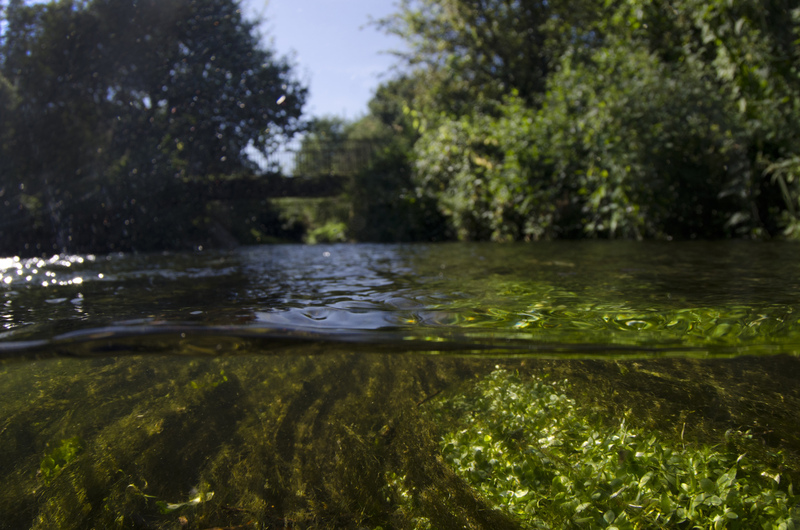 March for Clean Water: Action you can take
