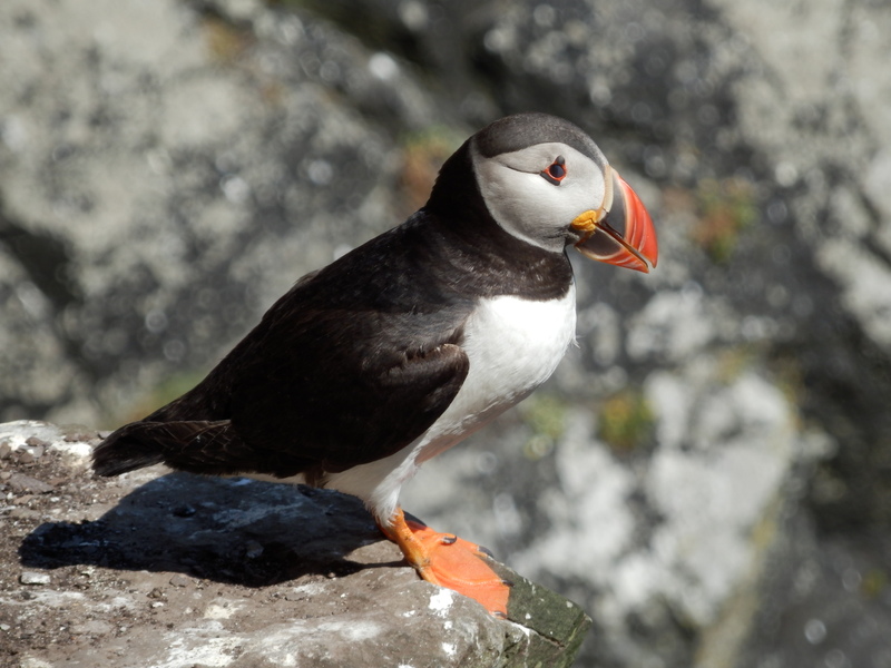 Eastbourne Group Talk and Walk October 2025