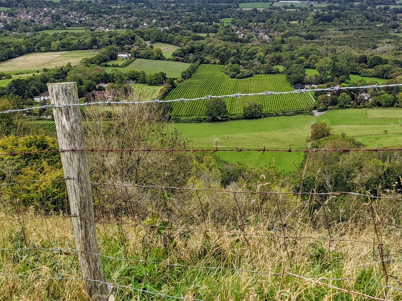 Sussex Walking Group