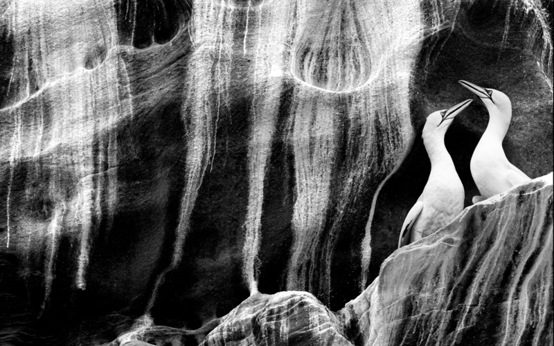 The Art of Seduction © Rachel Bigsby