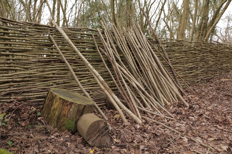West Dean Woods Nature Reserve, fence and wooden hurdles © Sam Roberts