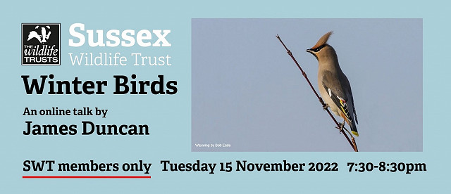 Winter Birds Webinar (15/11/22) Members-only