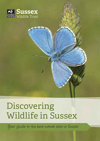 Discovering Wildlife cover