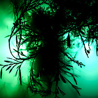 7. Neon Lights © Mark O’Halleron