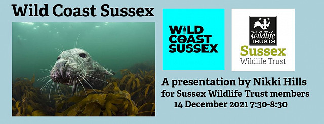Webinar: Wild Coast Sussex - members only