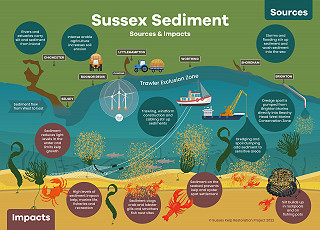 Blue Marine Sussex Kelp Sediment Infographic