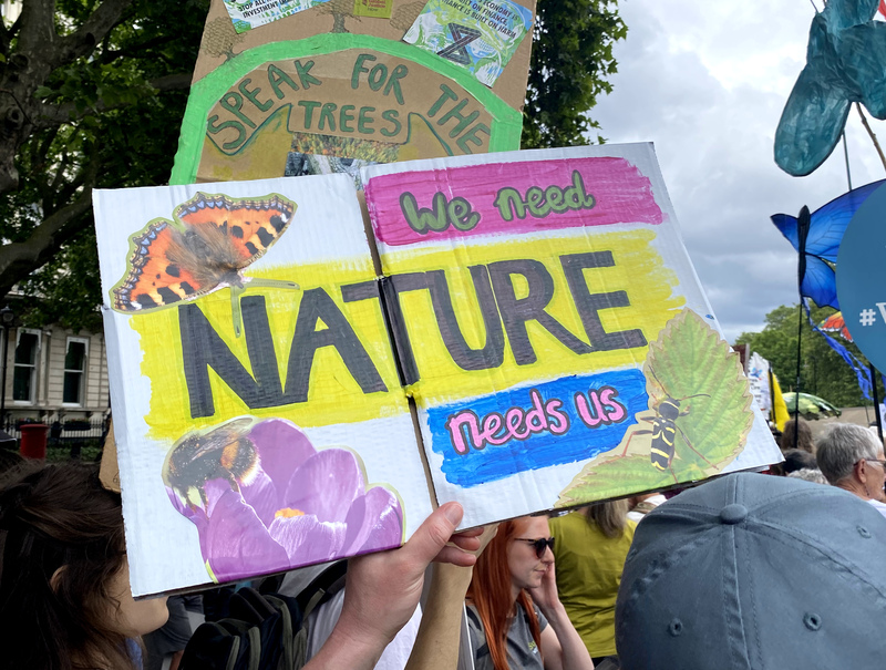 Restore Nature Now march 2024