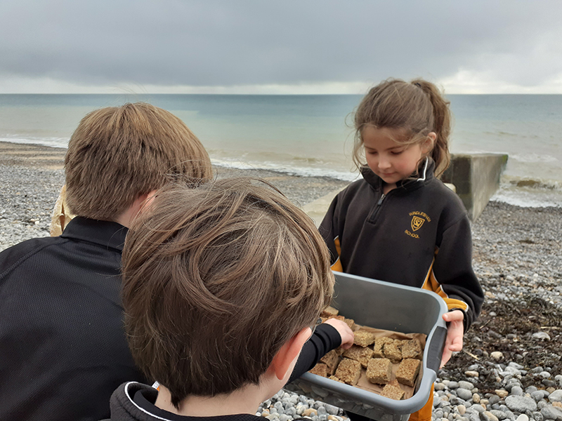 Windlesham School ditch plastic in lunches