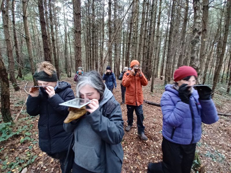 Mirror walking with Tamara Jewell - getting a birds eye view of the forest