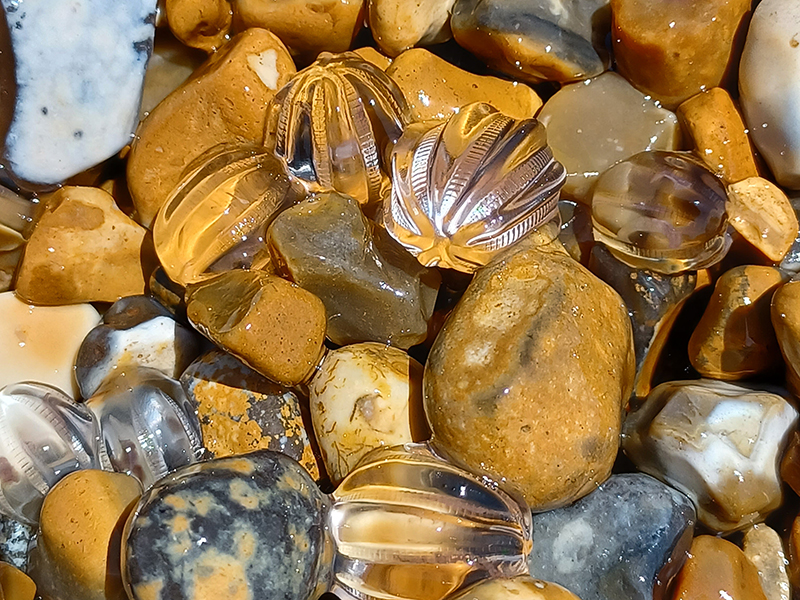 Sea Gooseberries on shingle beach