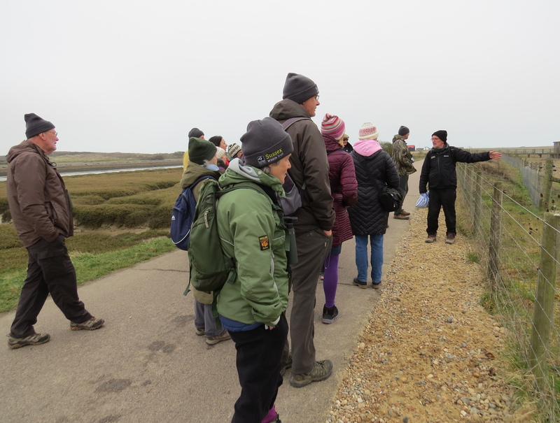 Rye Harbour Nature Reserve staff and volunteers learning together