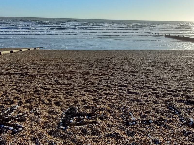Artswork & young people create kelp videos