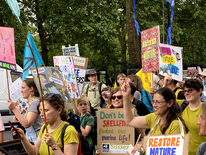 60,000 voices echoing hope