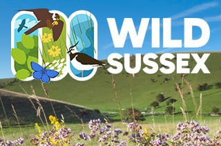 Wild Sussex Fund