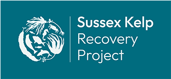 Sussex Kelp Recovery Project