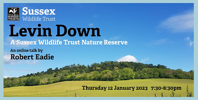 Levin Down - A Sussex Wildlife Trust Nature Reserve Webinar (12/01/23)