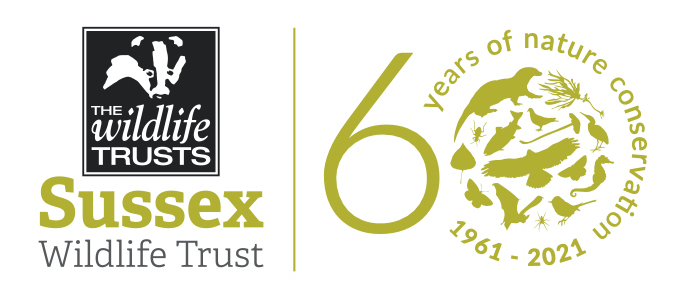 60 logo