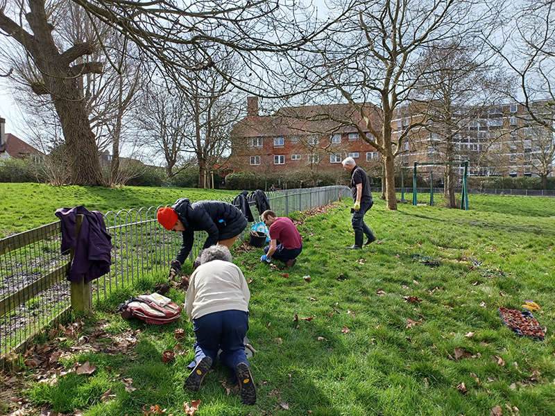 Planting for pollinators in Hove Planting for pollinators in Hove