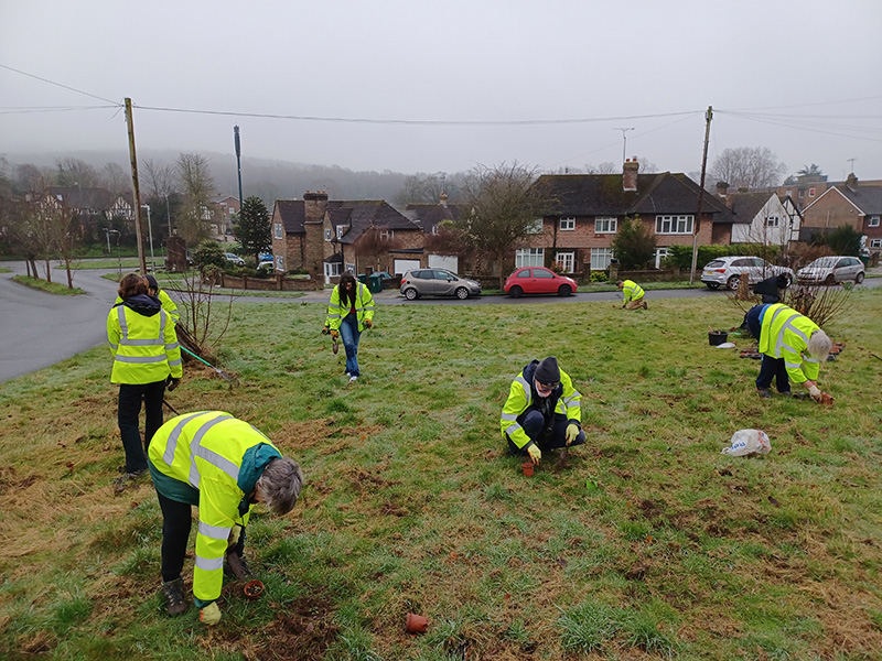 Volunteers planting wild flowers as part of the Wilder Verges project, Patcham Volunteers planting wild flowers as part of the Wilder Verges project, Patcham