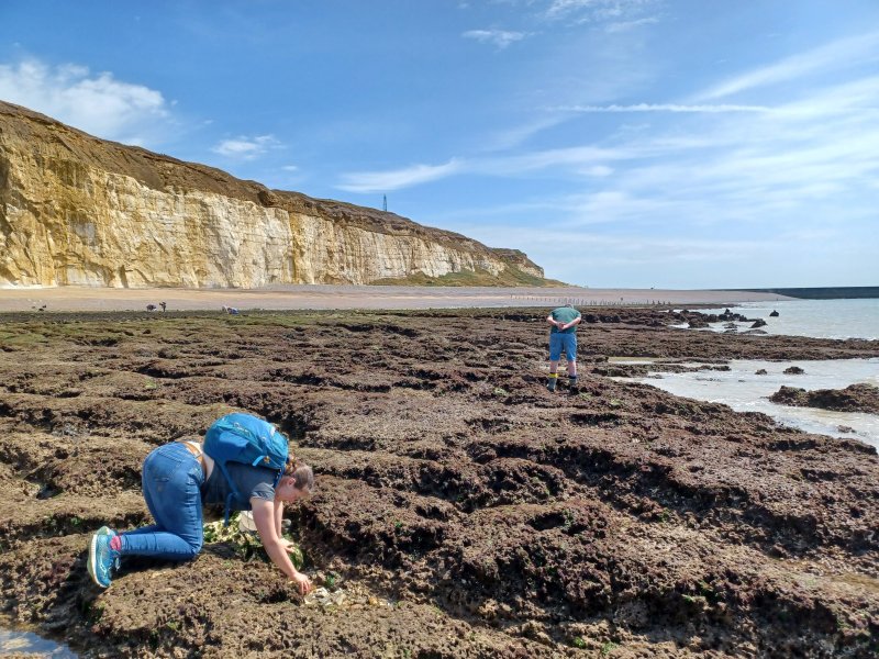 Clare Blencowe, SXBRC Manager, looking at intertidal species Clare Blencowe, SXBRC Manager, looking at intertidal species