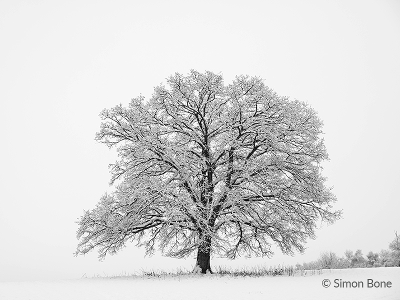 2. Deep Freeze - Simon Bone