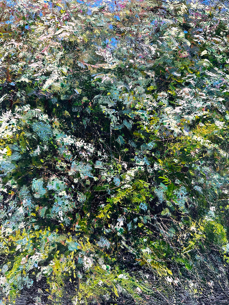 ‘Spring flowering Hawthorn, near the River Adur, Sussex’ detail. By Andrew Gifford