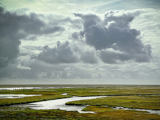 Stories in Pictures from a Coastal Landscape, Writers’ Showcase (24/05/23)