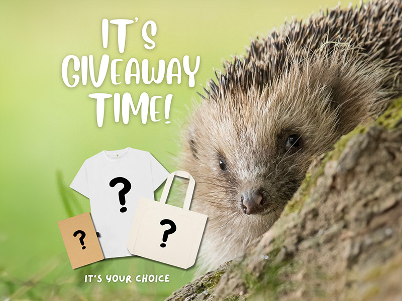 Go Wild in Sussex Selfie Giveaway