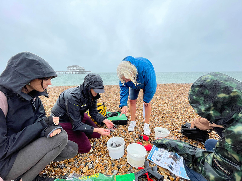 Identifying Mermaid’s Purses © Ruby Stothard