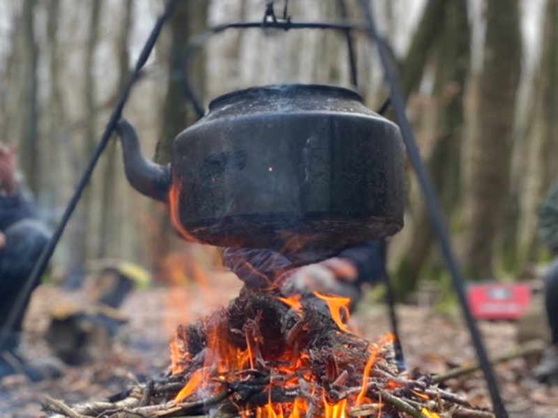 Lederman Trainees’ Blog March 2022: Tree-felling, Forest Schooling and a Newt on the Doorstep