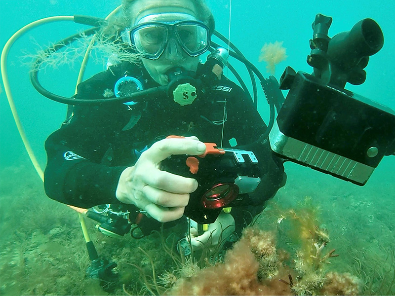 Marine Photography Competition Launched