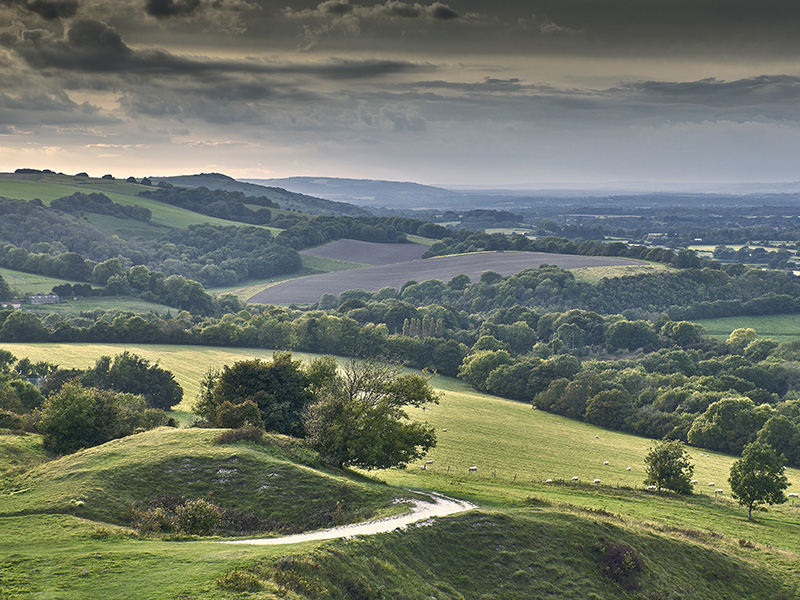 Working Together for Wildlife: Wiston Estate wins the Schöffel Farm-Environment Partnership Award