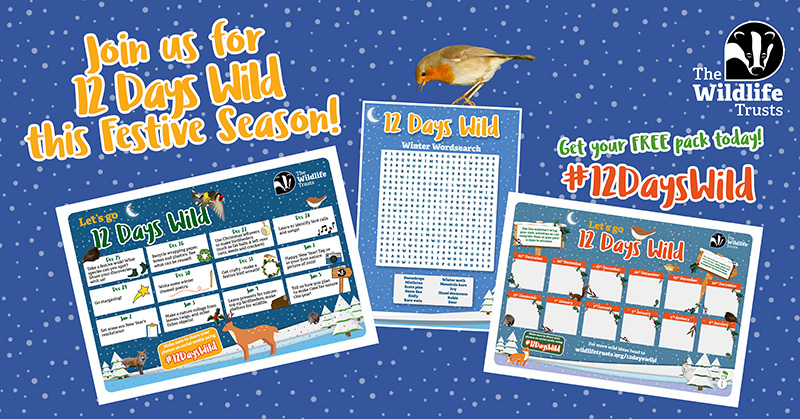 Free digital download activity pack