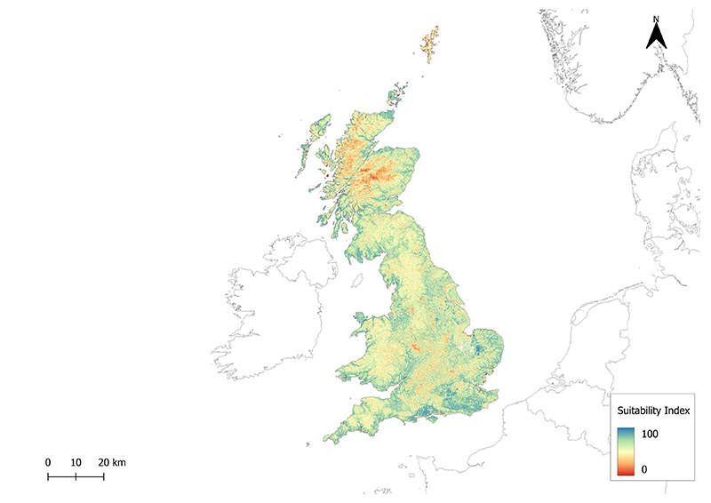 Pine Marten suitability map