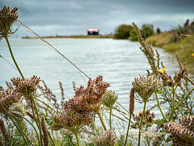 Crafting your Screenplay - Rye Harbour (24/11/2023)