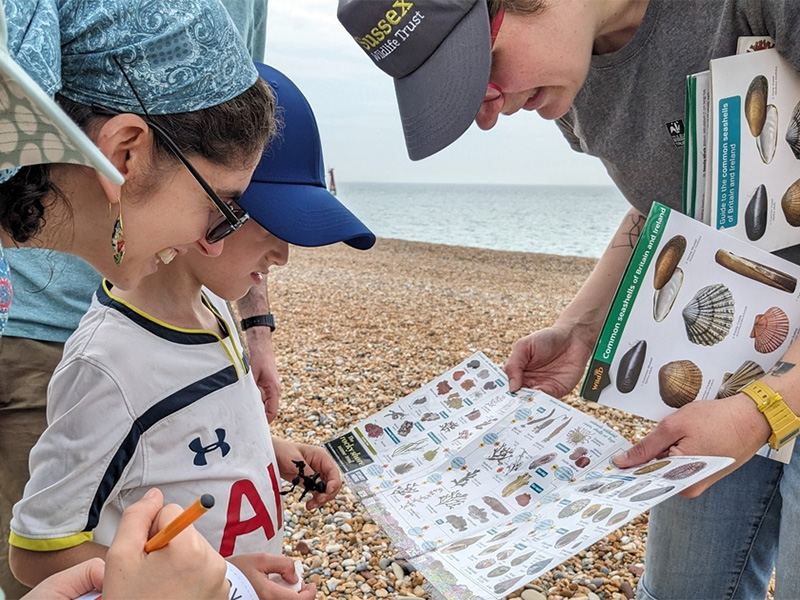 September events at Rye Harbour