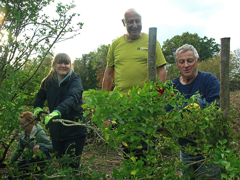 Hedge laying volunteers © Sam Roberts Hedge laying volunteers © Sam Roberts