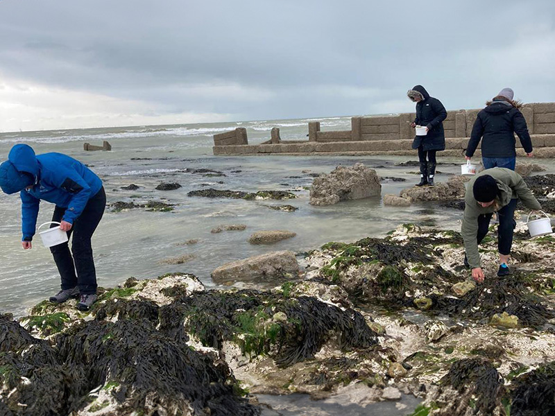 Wild Beach Training - Rockpooling at Ovingdean © Ruby Stothard