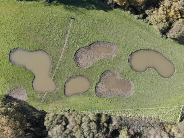 Scrapes at Woods Mill nature reserve