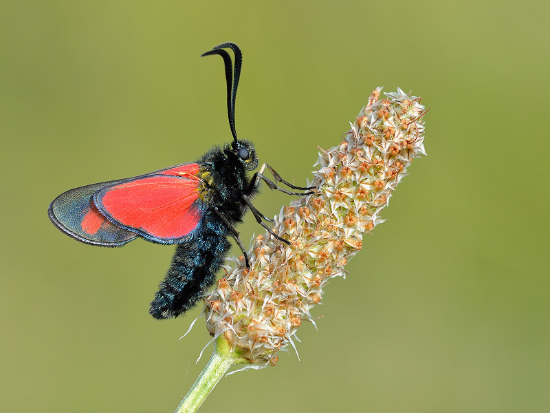 The results are in - what's next for nature?