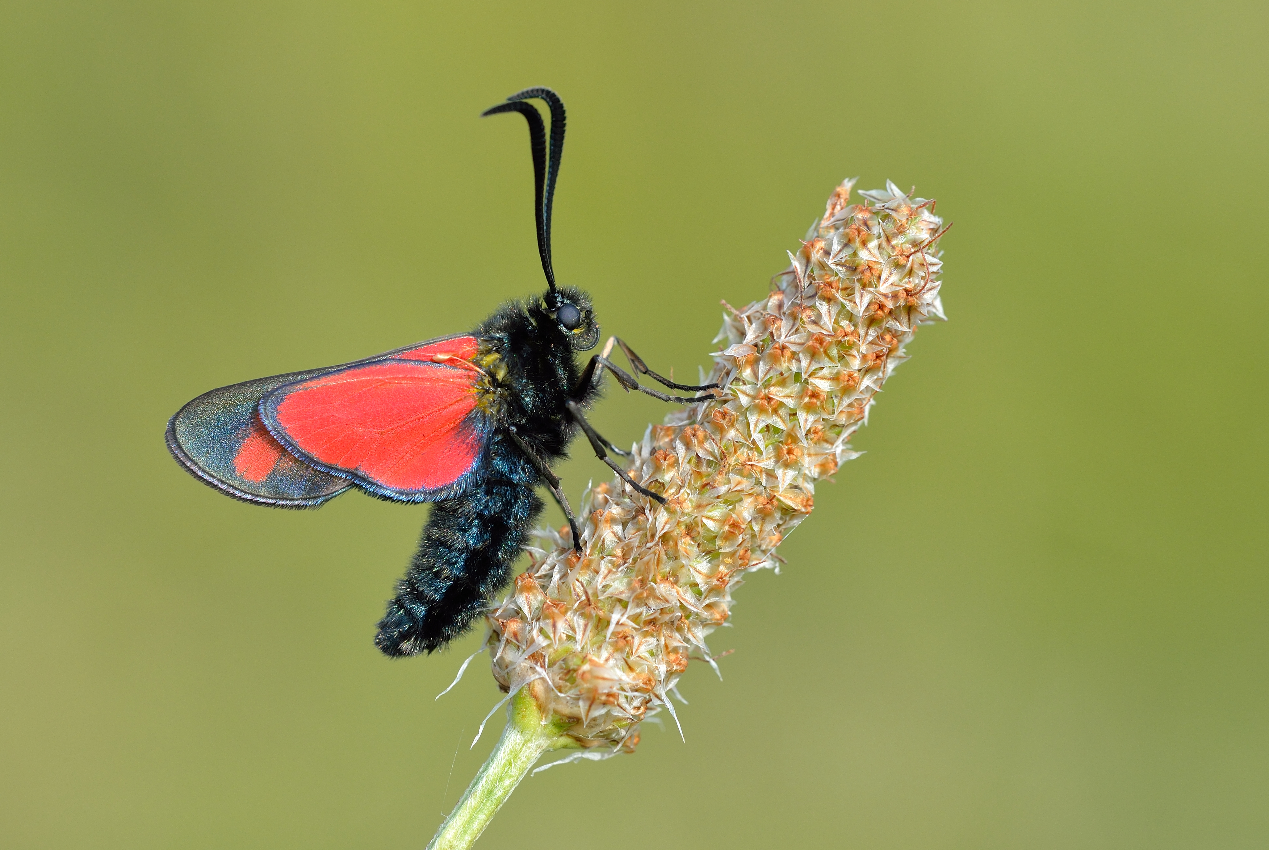 The results are in - what's next for nature?