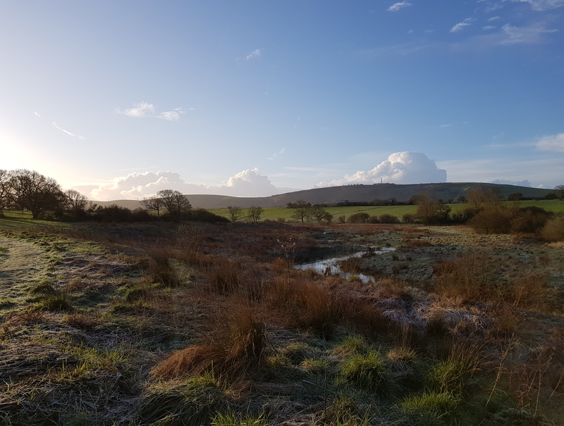 The 're-meandered' stream area in 2021 by Glenn Norris