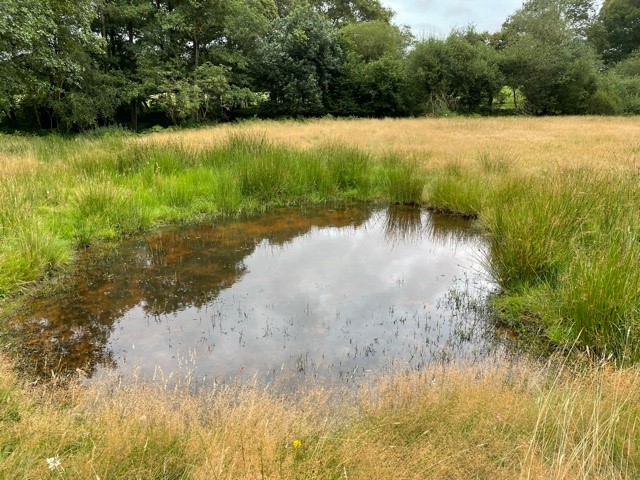 Ponds and scrapes with the Sussex Flow Initiative