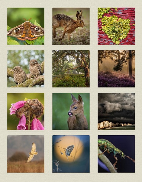 Vote for your favourite nature photo