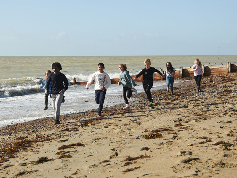 Our Wild Sussex: Nature is for everyone