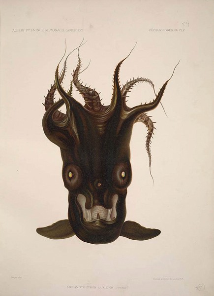 Aquatic Creepy Critters