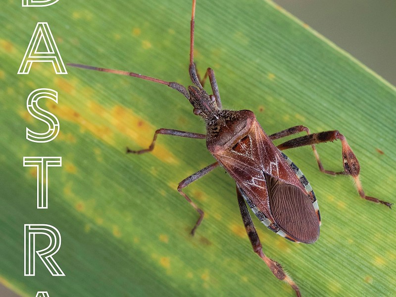 Sussex Biological Recorders' Seminar 2019