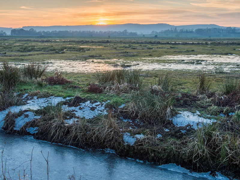 A call to take action for wetlands