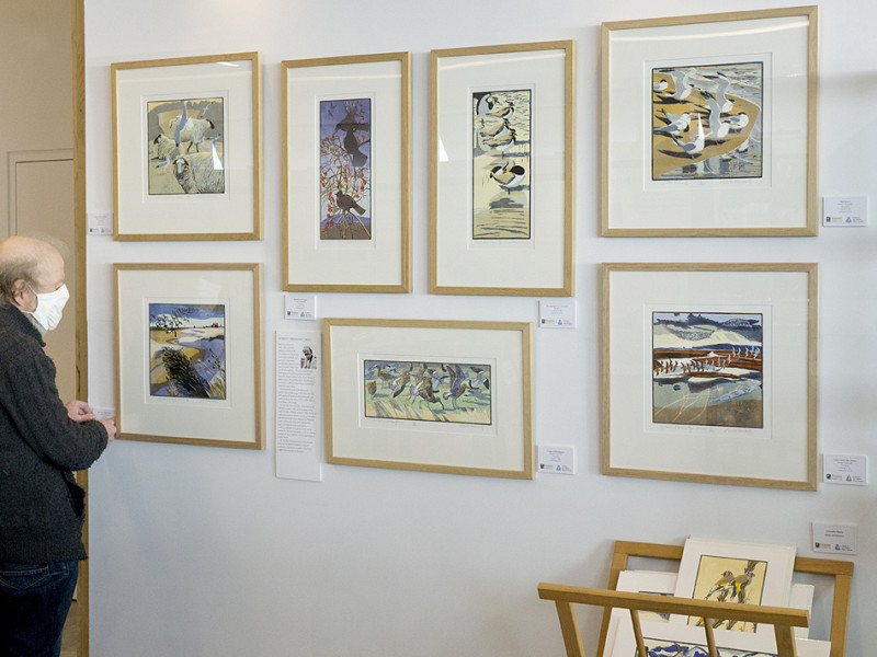 Art Wall goes up in the Discovery Centre